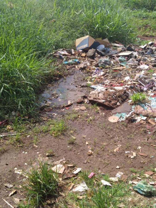 Foto 15 de 19 — Reclamação: “Onde deveria ser uma rua, só tem mato, lixo e água parada”, diz morador